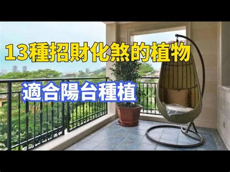 陽台植物禁忌|陽台風水全攻略：避免前後陽台8大擺設禁忌，遠離這些常見錯誤